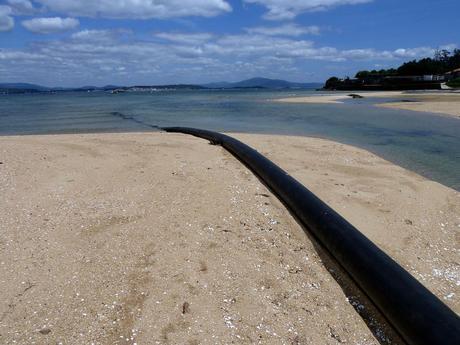 Playa para Perros en el Municipio de A Pobra Do Caramiñal