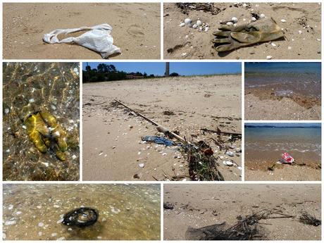 Playa para Perros en el Municipio de A Pobra Do Caramiñal
