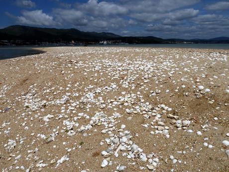 Playa para Perros en el Municipio de A Pobra Do Caramiñal