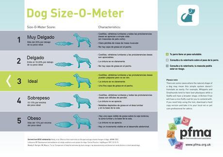 Sobrepeso y Obesidad Canina