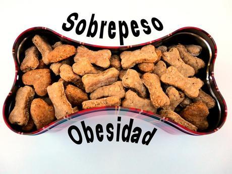 Sobrepeso y Obesidad Canina