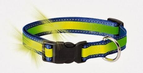 Review: Collar Reflectante y Fosforescente CAMON D715/C Review: Collar Reflectante y Fosforescente CAMON D715/C