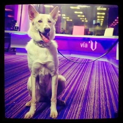 Entrevistados en «Vía V» Entrevistados en «Vía V»