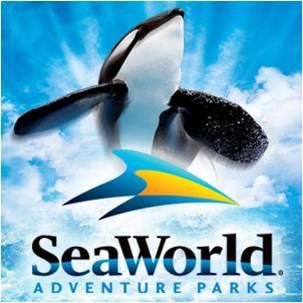 Orlando (II): SeaWorld Orlando (II): SeaWorld