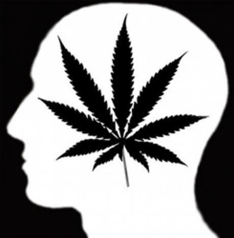 La marihuana afecta la memoria
