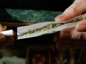 ¿Puede desarrollarse esquizofrenia consumo cannabis?