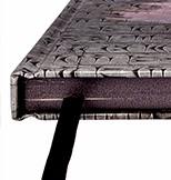 The Purge,de Anthony Reynolds.Reseña