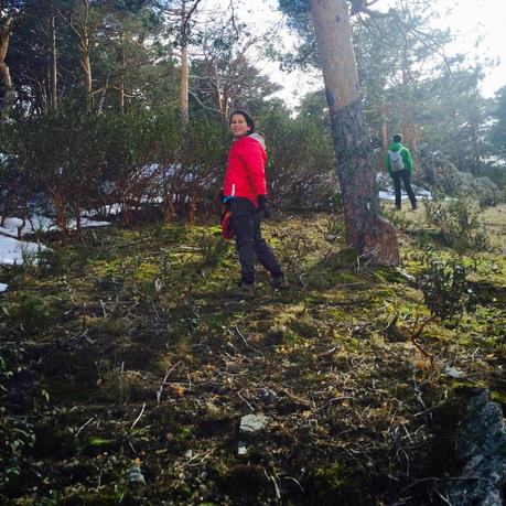 Fotos...pasear por la sierra de Madrid