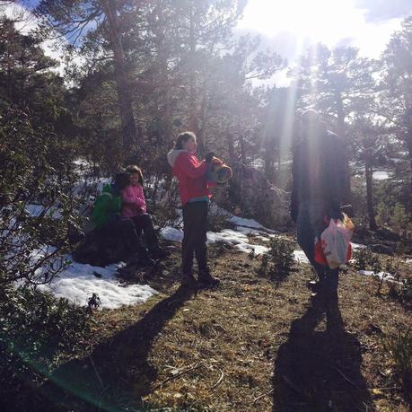 Fotos...pasear por la sierra de Madrid