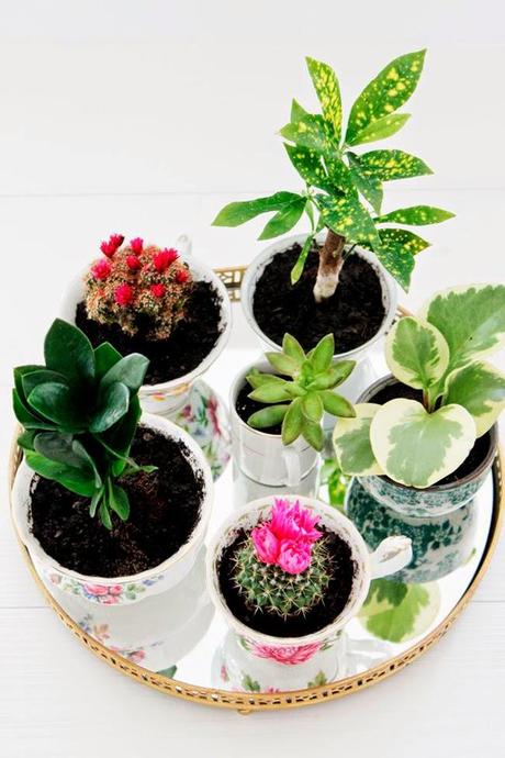 DIY TACITAS VINTAGE CON PLANTAS #DIYDELMESDV