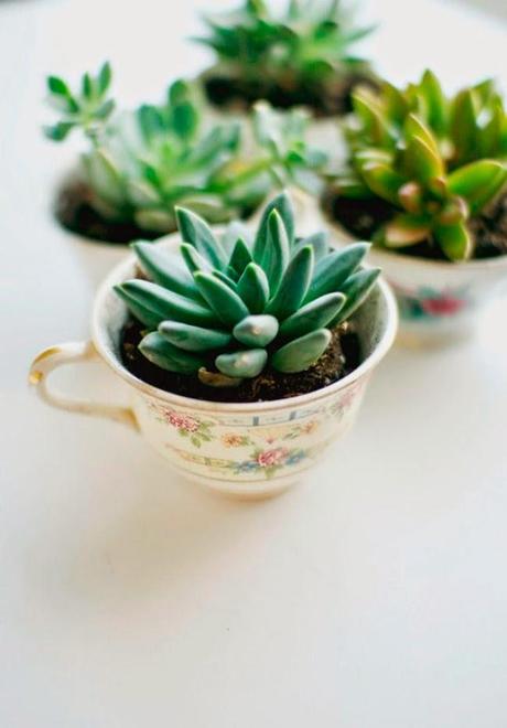 DIY TACITAS VINTAGE CON PLANTAS #DIYDELMESDV