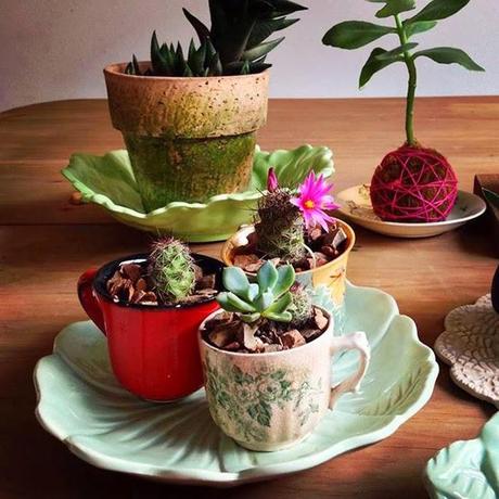 DIY TACITAS VINTAGE CON PLANTAS #DIYDELMESDV