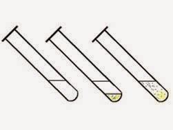 Test de Capacitación o Test REM