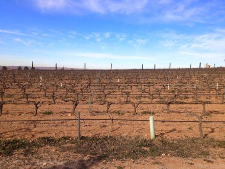 EVENTO BLOGGER: Presentación de Origen Cosmetics en Chozas Carrascal