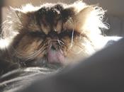 This week happy for...