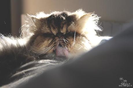 This week im happy for...