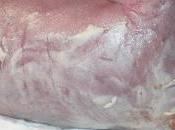 vernix caseosa doulas