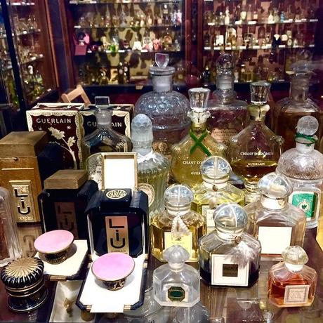 Renaissance museo perfume