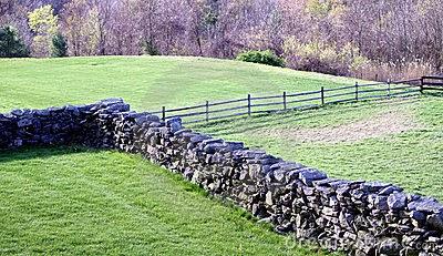 Trazo (Sophia de Mello Breyner)