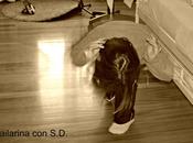 PROFESORA BAILE Escrito Haizea