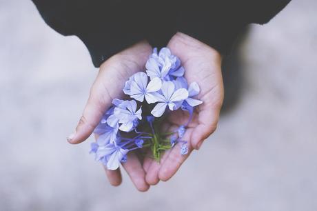 Proyecto #52semanas: febrero. 07 - nature