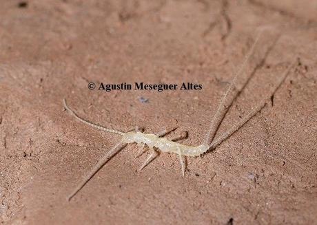 Ganadores del Concurso de Fotografía