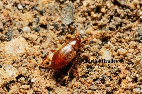 Ganadores del Concurso de Fotografía