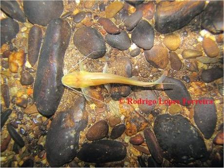 Ganadores del Concurso de Fotografía