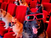 Cuidado peli ves, perro depende ella