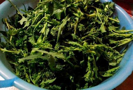 como hacer conservas de verduras broccolisottolio1