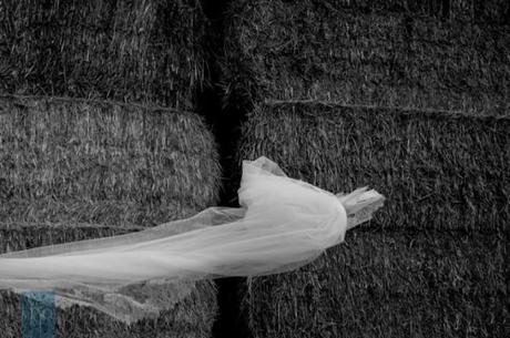 Eligiendo un lugar para la celebracion ba715137c837895d6399aa13aa1fabde