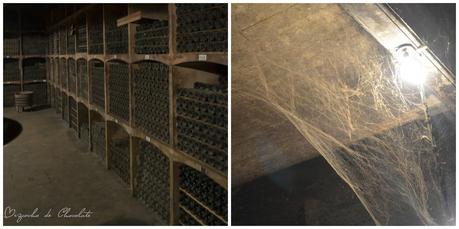 En las bodegas de Rafael López de Heredia