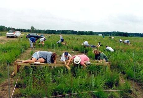 Voluntarios trabajando en la Reserva de Cedar Creek