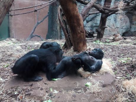 Cuando tu peque te hace esas preguntas comprometidas… comprometido_mamiclic