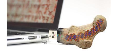 Enviado por Norma MinorTodos sabemos las dificultades que...