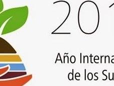 2015 Internacional suelos