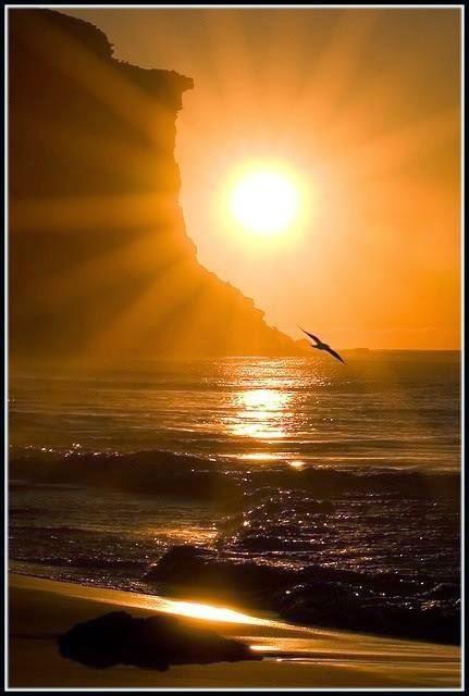 EN EL TREN DE LOS SUEÑOS...