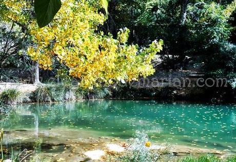 El Pozo Claro, un paraje natural a las puertas de Bocairent