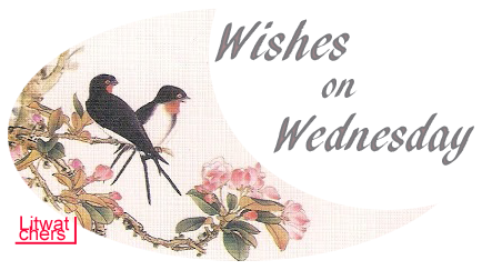 Wishes on Wednesday #8: Replica de Jenna Black