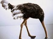 Consejos escritora estuvo otro lado peores cinco situaciones enfrentarías fueras editor (parte