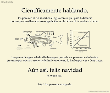 Salmón marinado a la griega con salsa tzatziki, anillos dentro de peces y felices fiestas