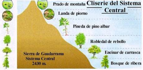 cliserie vegetación guadarrama