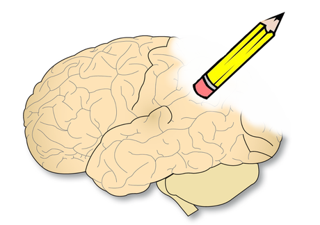 Usan ultrasonido para revertir los síntomas del Alzheimer