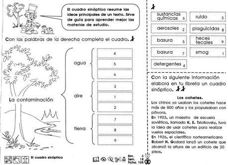 El cuadro sinóptico