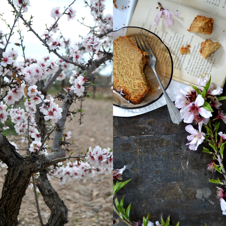 BIZCOCHO DE ALMENDRAS Y MIEL