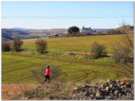 Primera vista del Monasterio desde el camin