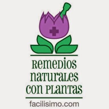 Remedios naturales con plantas para los gases