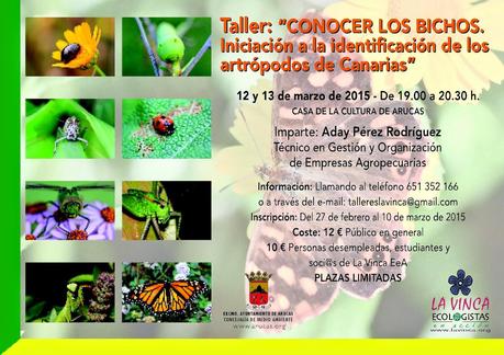 Curso de Conocer a los bichos: Aprender a identificar los Artrópodos de Canarias.
