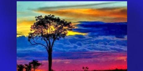 Y nos queda la muerte