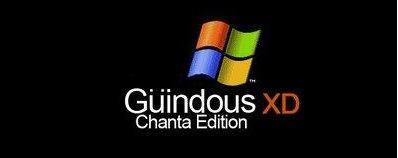 Diccionario de Términos Chilenos (Actualizable) Chanta